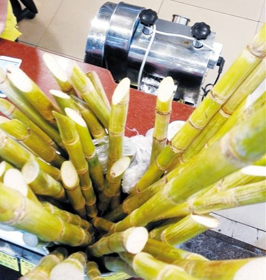“清明蔗毒过蛇”专家提醒：红心甘蔗不能食用