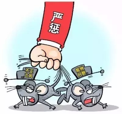 关于开展侵害群众利益的不正之风和腐败问题专项整治的公告