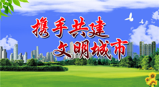 刘培国督导检查创建文明城市（区）工作