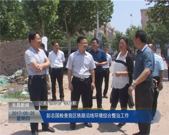 彭志国检查我区铁路沿线环境综合整治工作