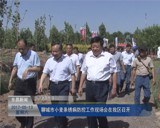 聊城市小麦条锈病防控工作现场会在我区召开