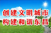 全区创建文明城市（区）农贸市场整治提升工作会议召开
