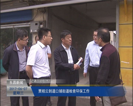 贾相云到道口铺街道检查环保工作