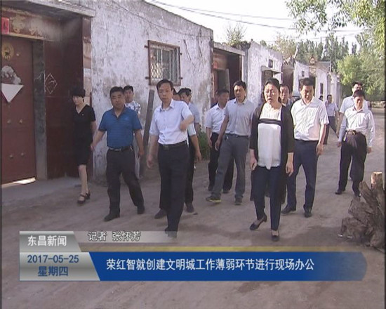 荣红智就创建文明城工作薄弱环节进行现场办公