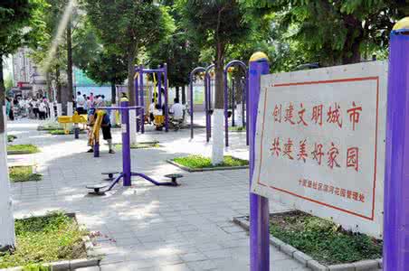 聊城：加强城区绿化 为创城“添彩”