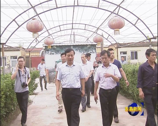 台湾乡村里长来我区观光走访