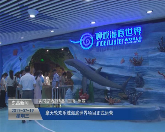 摩天轮欢乐城海底世界项目正式运营