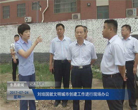刘培国就文明城市创建工作进行现场办公