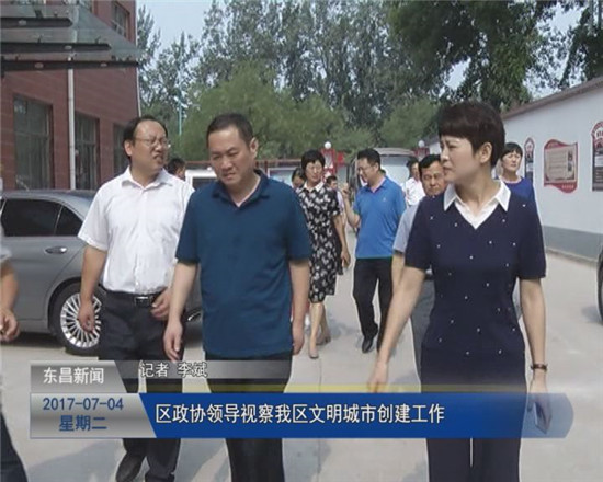 区政协对我区创城工作进行视察