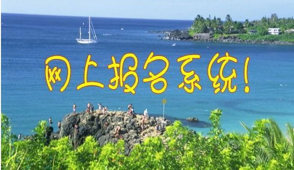 今年聊城城区小学初中招生首次网上报名