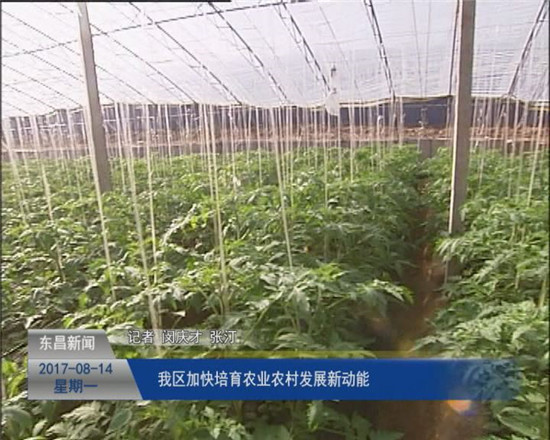 我区加快培育农业农村发展新动能