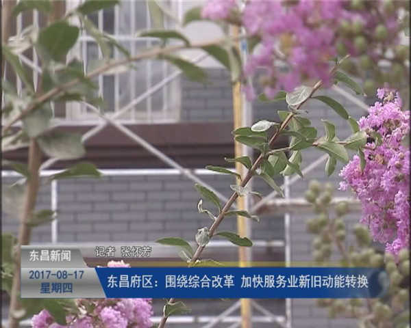 东昌府区：围绕综合改革 加快服务业新旧动能转换