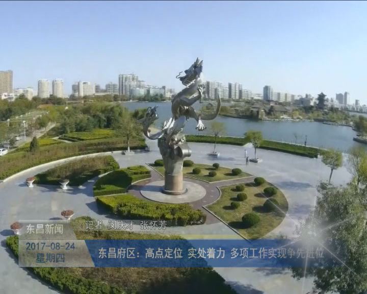 东昌府区：高点定位 实处着力 多项工作实现争先进位