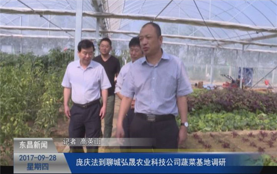 庞庆法到聊城弘晟农业科技公司蔬菜基地调研