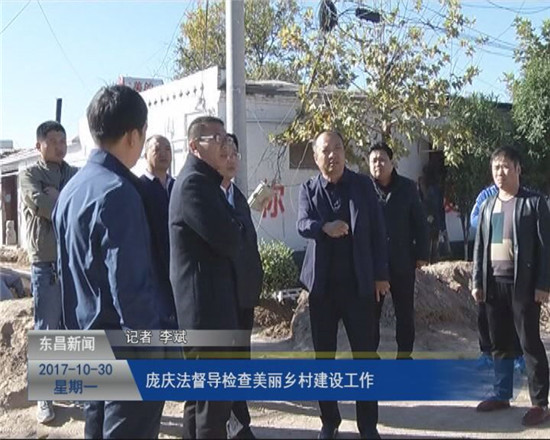 庞庆法督导检查美丽乡村建设工作