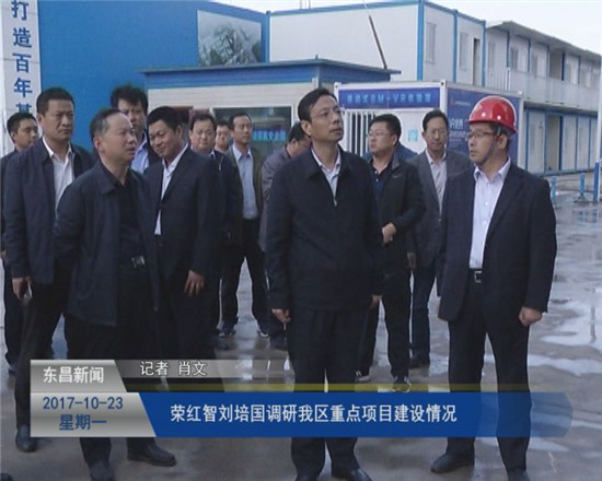 荣红智、刘培国调研我区重点项目建设情况
