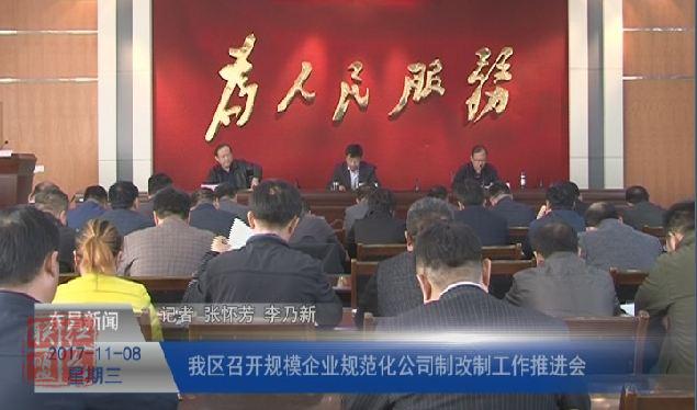 我区召开规模企业规范化公司制改制工作推进会