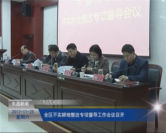 全区不实耕地整改专项督导工作会议召开