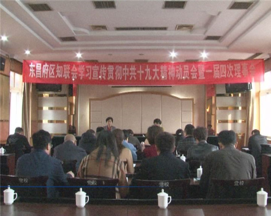 我区知联会学习宣传贯彻中共十九大精神动员会暨一届四次理事会召开