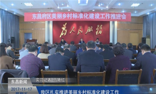 我区召开美丽乡村标准化建设工作推进会
