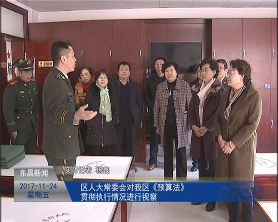 区人大常委会对我区《预算法》贯彻执行情况进行视察