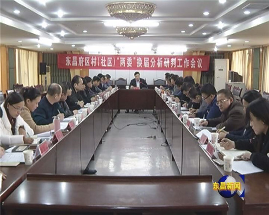 我区召开村（社区）“两委”换届分析研判工作会