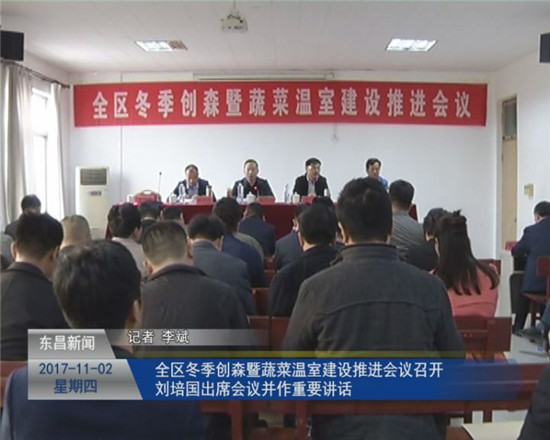 全区冬季创森暨蔬菜温室建设推进会议召开  刘培国出席会议并作重要讲话