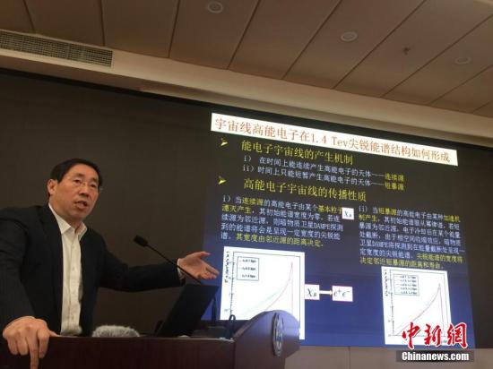 中国科学院院士吴岳良在做评议。<a target='_blank' href='http://www.chinanews.com/'>中新社</a>记者 张素 摄