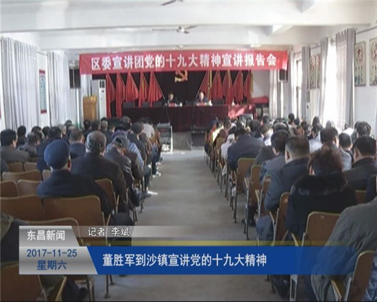 董胜军到沙镇宣讲党的十九大精神
