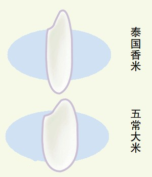 大米市场鱼龙混杂真假难辨 标称“五常米” 九成是李鬼