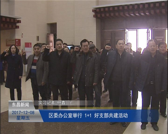 区委办公室举行“1+1”好支部共建活动