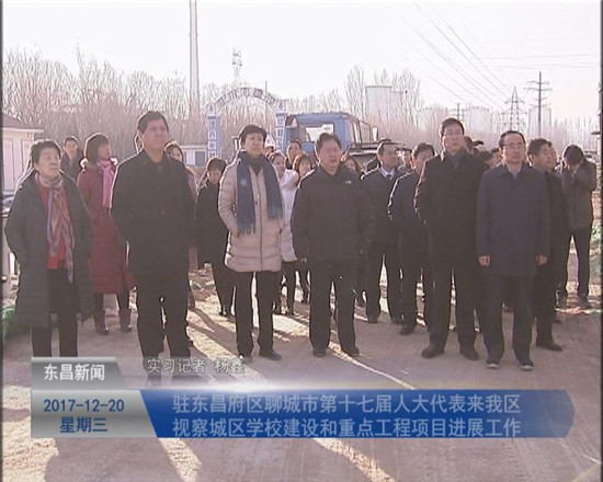 驻东昌府区聊城市第十七届人大代表来我区视察城区学校建设和重点工程项目进展工作