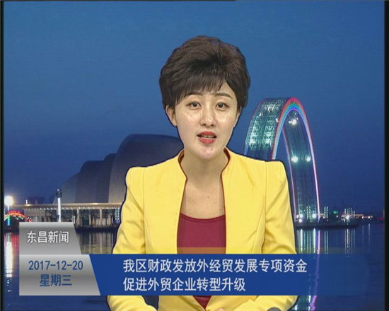 我区财政发放外经贸发展专项资金 促进外贸企业转型升级