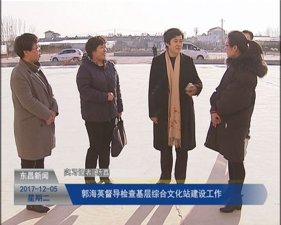 郭海英督导检查基层综合文化站建设工作