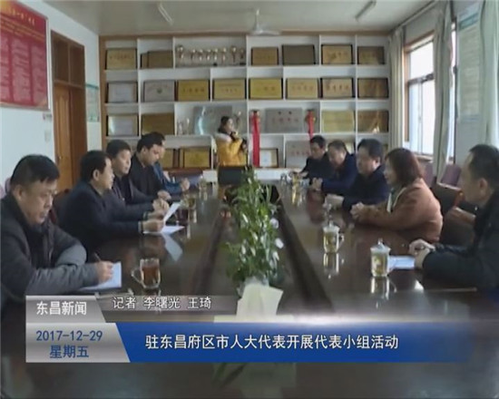 驻东昌府区市人大代表开展代表小组活动