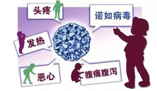 宝宝冬季呕吐、拉肚子 当心诺如病毒侵袭