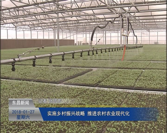 实施乡村振兴战略 推进农村农业现代化