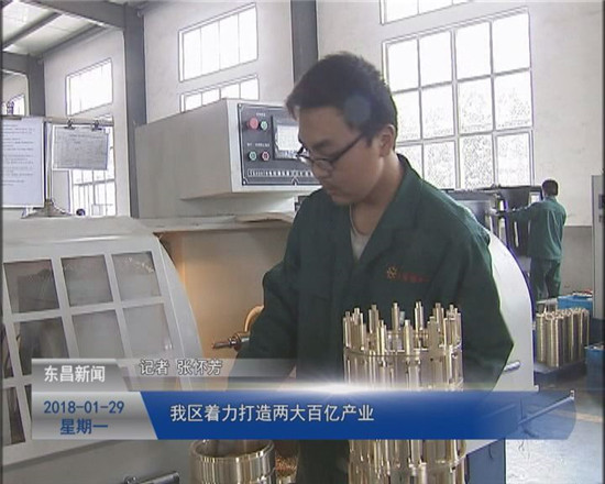 我区着力打造两大百亿产业
