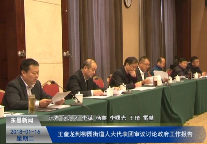 王奎龙到柳园街道人大代表团审议讨论政府工作报告