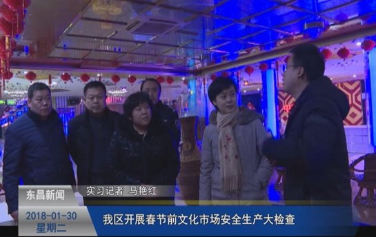 我区开展春节前文化市场安全生产大检查