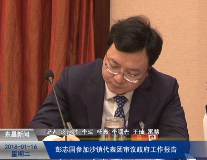 彭志国参加沙镇代表团审议政府工作报告