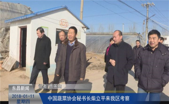 中国蔬菜协会秘书长柴立平来我区考察