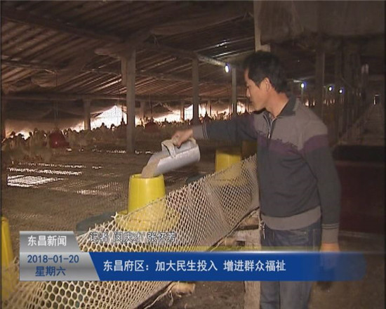 《落实两会精神  决胜全面小康》  东昌府区：加大民生投入   增进群众福祉