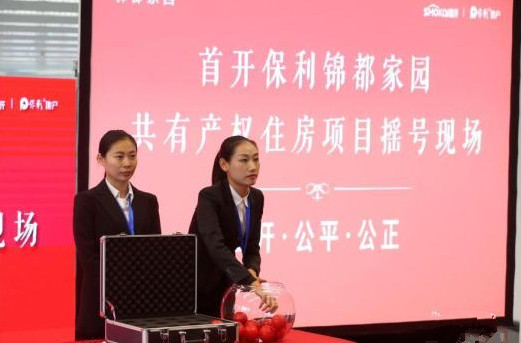五城共有产权房开闸供应：价格实惠 可平抑房价