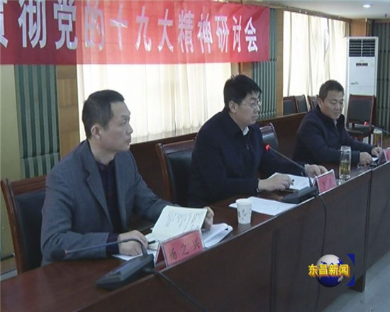 全区深入贯彻党的十九大精神研讨会召开