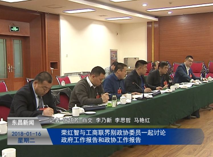 荣红智与工商联界别政协委员一起讨论政府工作报告和政协工作报告