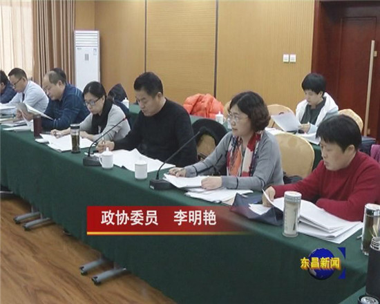 政协委员分组讨论荣书记讲话 政协工作报告及提案工作报告