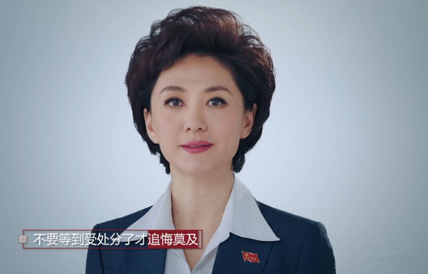 央视女主播海霞在中纪委的特殊身份