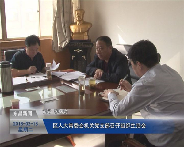 区人大常委会机关党支部召开组织生活会