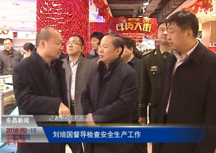 刘培国督导检查安全生产工作